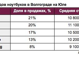 В Волгограде чаще всего покупают ноутбуки Acer и Asus