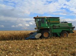 2,3 млн тонн зерна собрано аграриями Волгоградской области