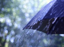 В Волгограде последние июльские выходные выдадутся дождливыми