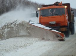 14-15 января в Волгоградской области ожидается сильный снег, а также порывистый ветер до 15 м/с