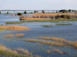 В Волгограде создан Центр по защите и восстановлению малых рек и водоемов